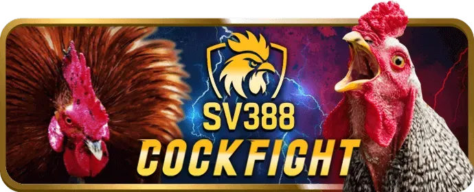 Dịch vụ hỗ trợ khách hàng chuyên nghiệp của winvn game